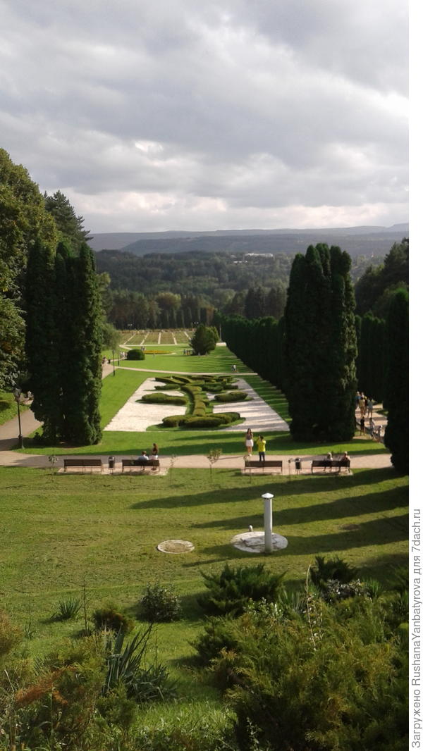 в Долине роз.