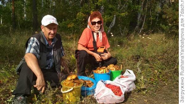 денек удался!