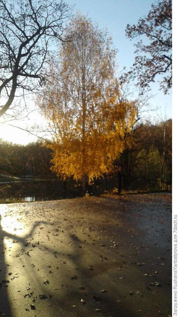 Отражение на мокром асфальте.