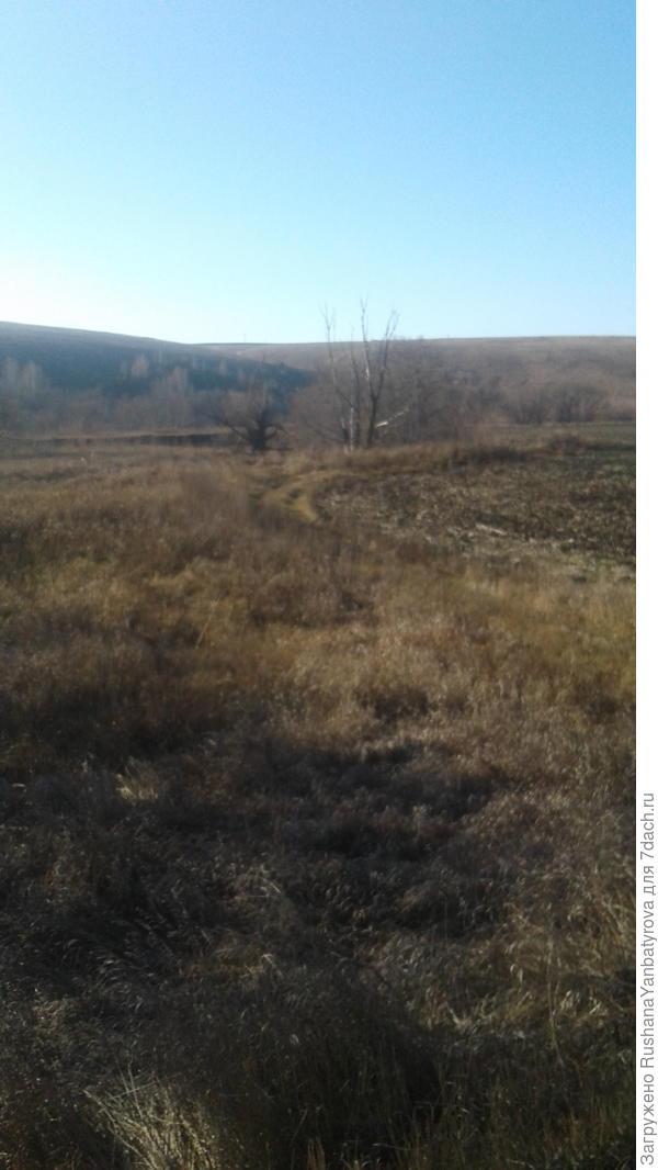 от воды туман и сырость,