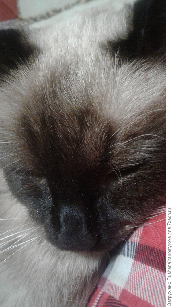 Я скоро поправлюсь!