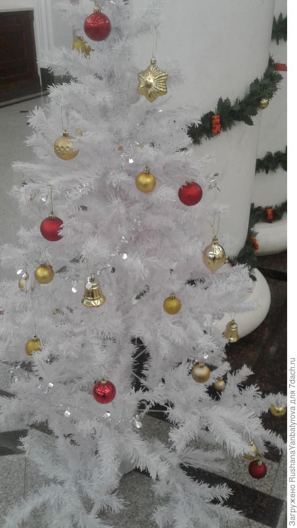 И с наступающим Новым годом!