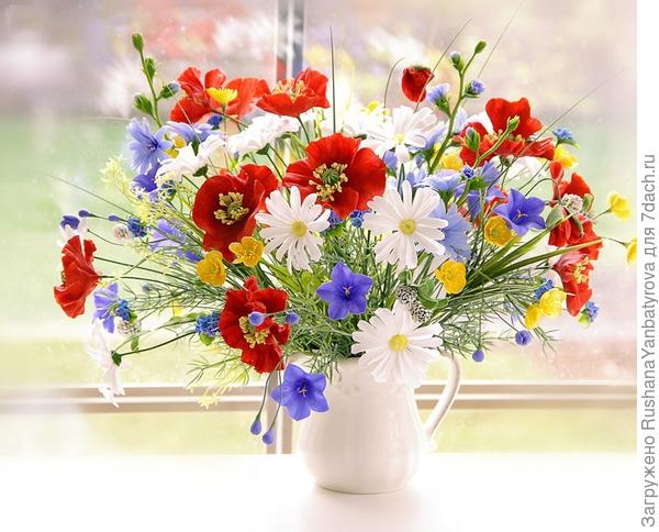 С Татьяниным днем,Танюши!