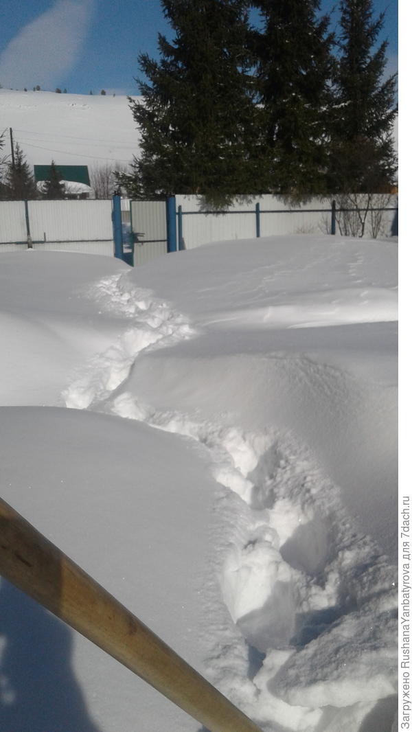 И ничего,что она такая! Солнце уже греет!