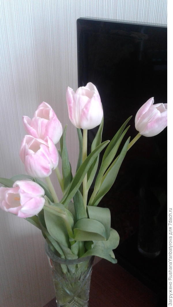 Нежный букет милой Юлечке!