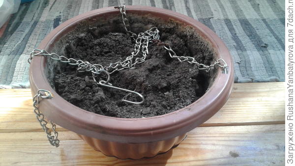 А это подвесные кашпо,их у меня много.