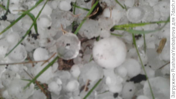 Рамеры градин.