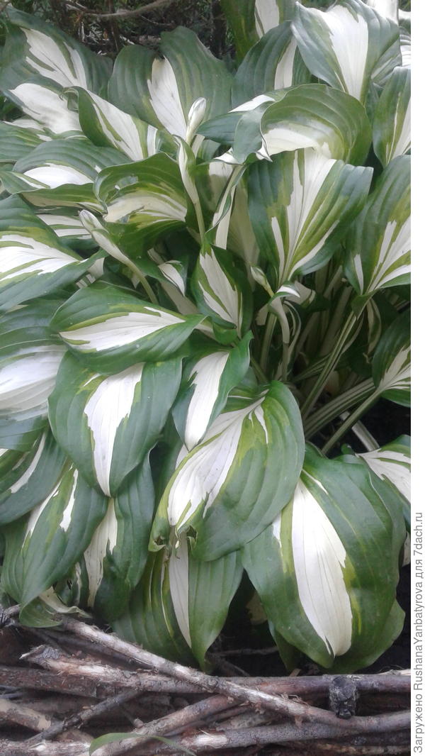 Почти тезки.