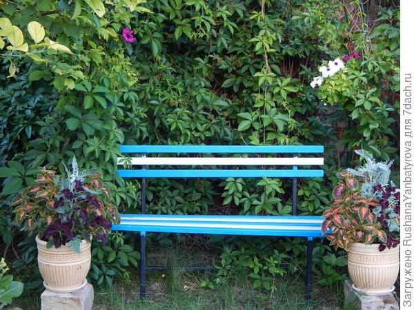 Выглядит это так.