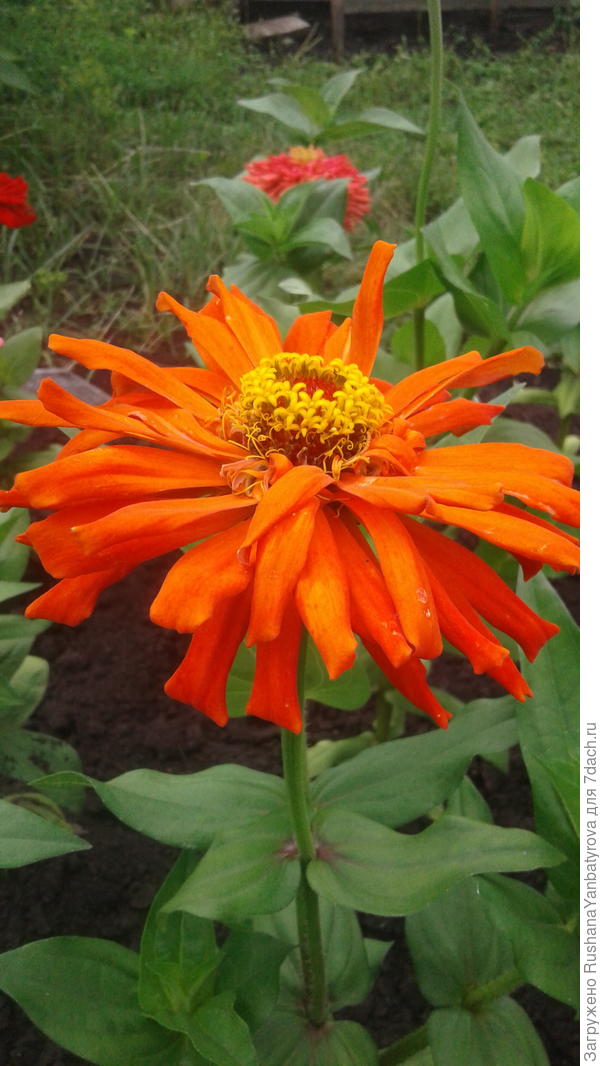 Это Наташе!