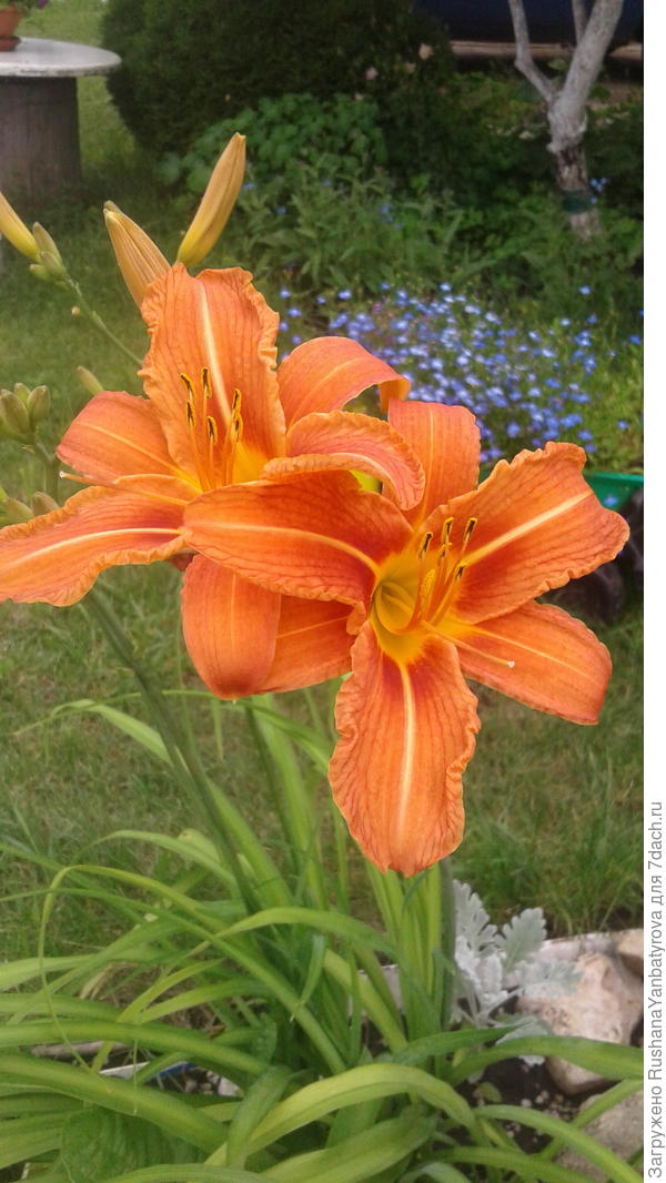 Радости и отличного настроения!