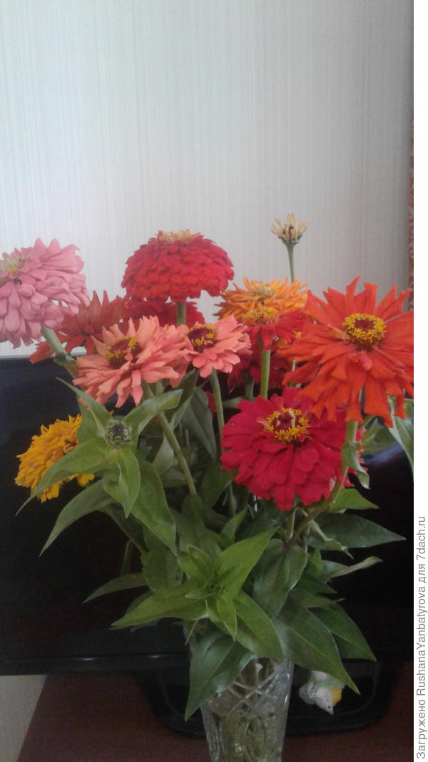 Букет победителям!