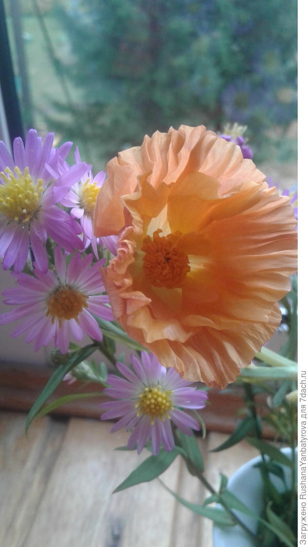 Скромный подарок.