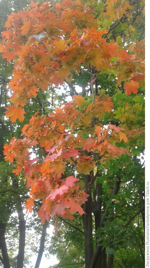 А еще недавно было так!