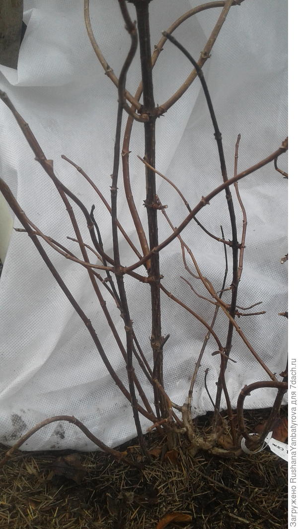 Один ракурс