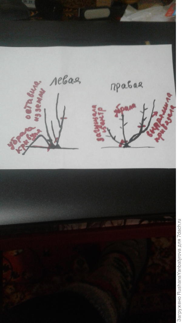 Вот я нарисовала.