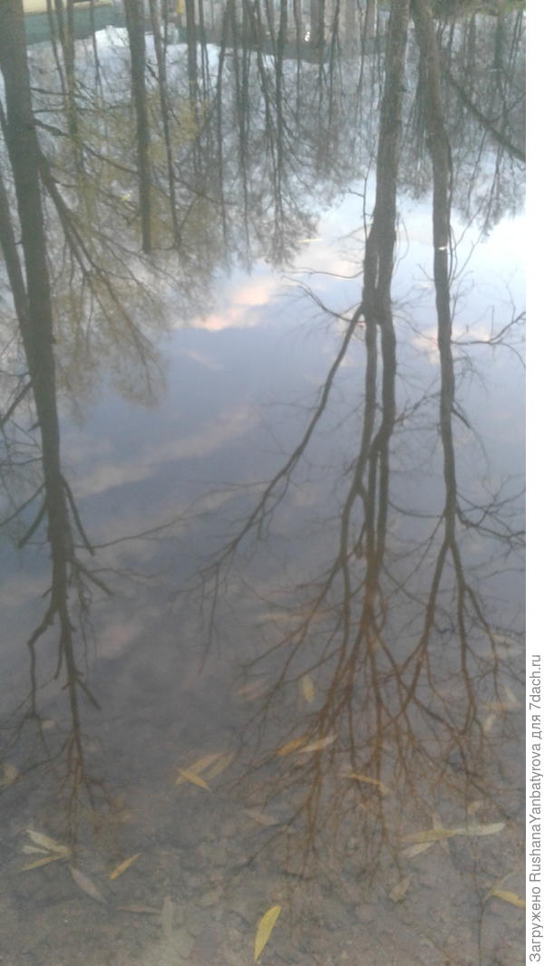 Отражение...