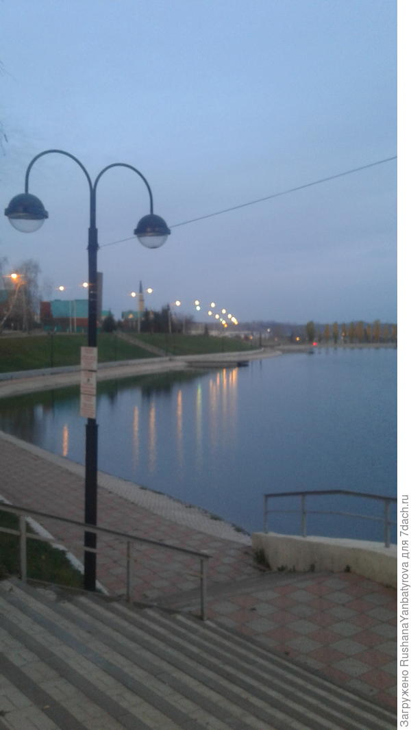 У городского водоема.