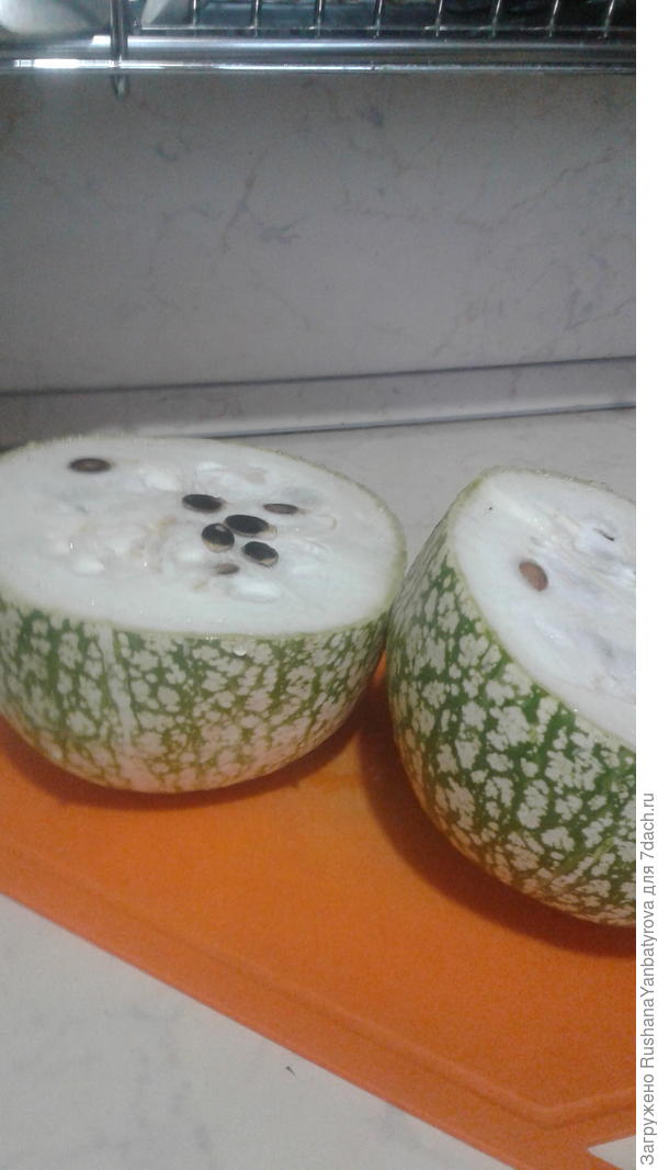 Тыква в разрезе.