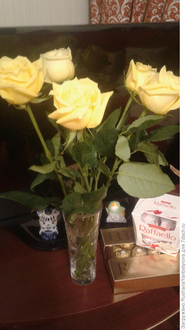 Нашим светлым Светланам