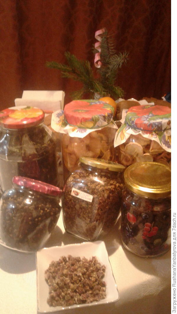 Заготовочки:иван-чай,яблоки и айва,ягоды,смородина,шиповник.