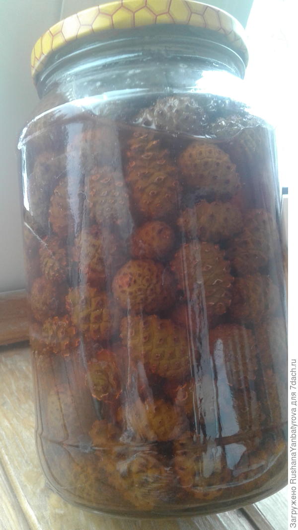 В банке цвет не очень виден. Шишек много,как я люблю.