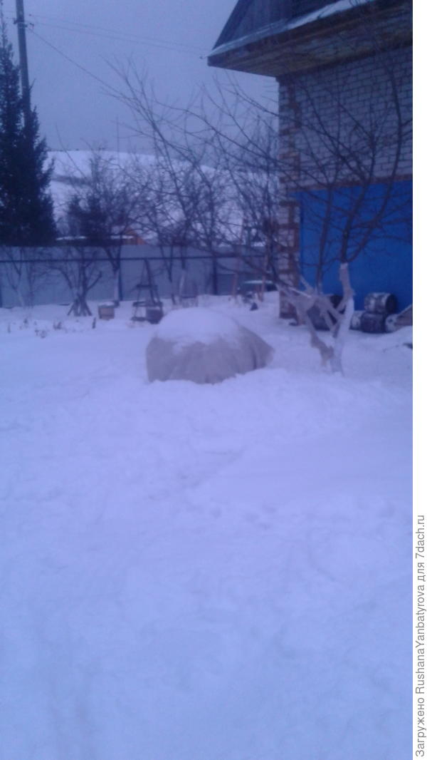 Вот у нас сколько снега!