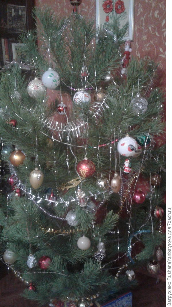 Теперь она нарядная!