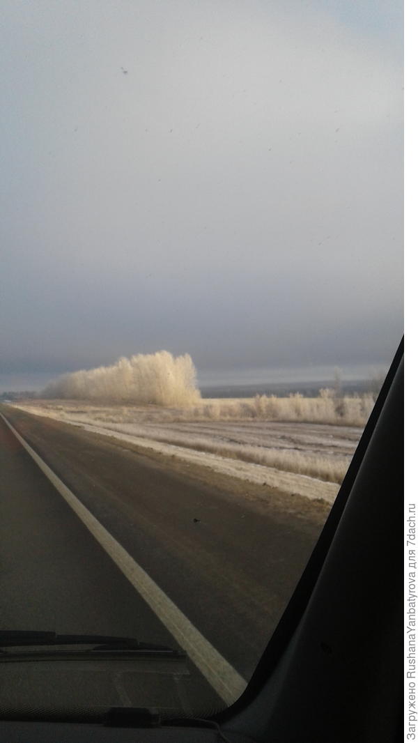 По дороге в Казань 13 декабря.