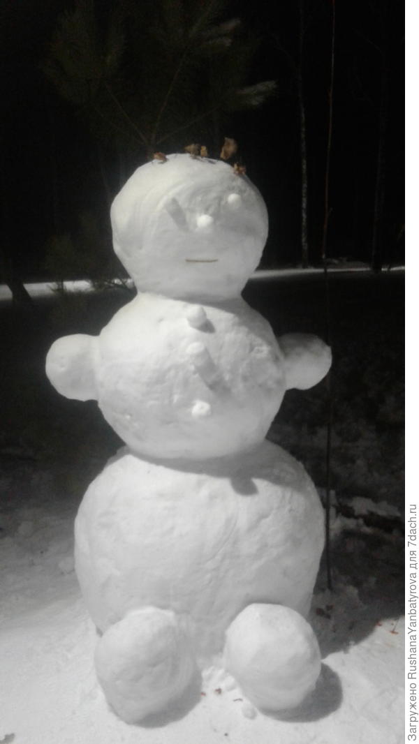 В нашем лесопарке.