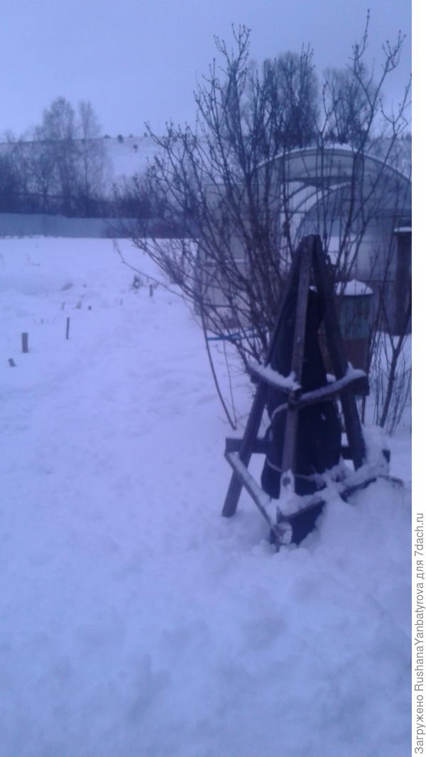 На даче растения спрятались под снежок. Побольше бы его!