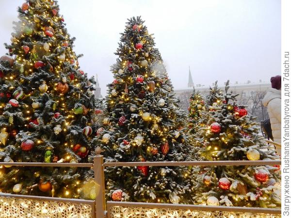 Зимняя сказка!