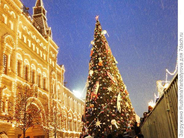 Море огней и самая большая елка рядом с катком.