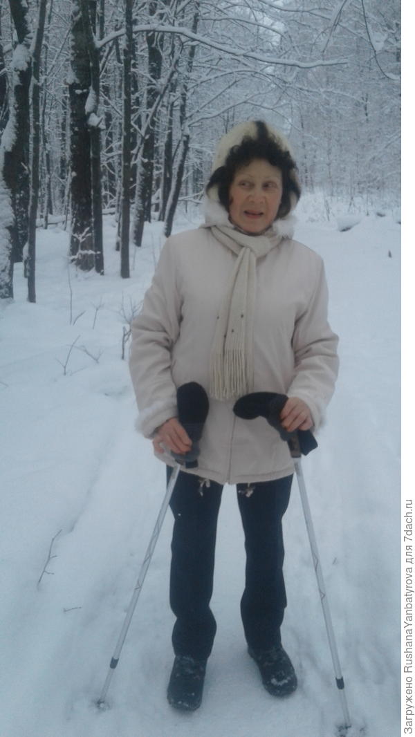 Сегодня в лесопарке.