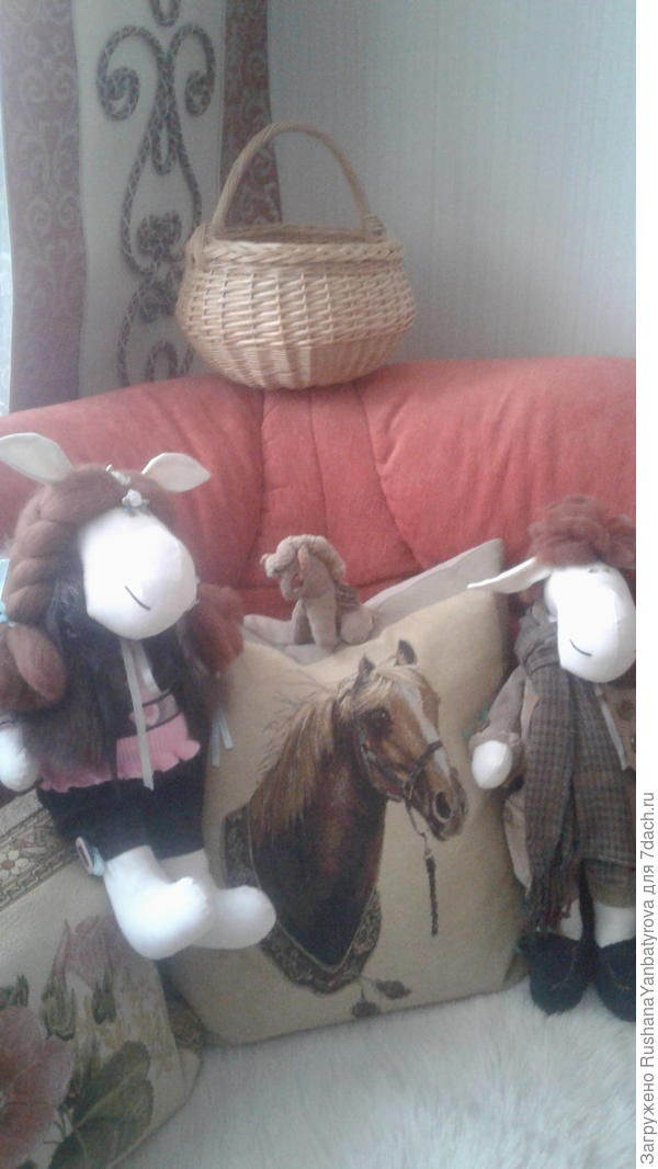 Думка и лошадиное семейство.