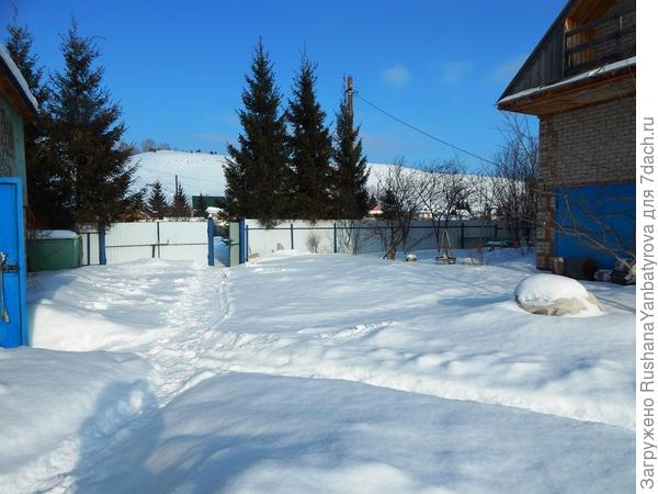 Муж решил почистить снег за воротами, а я сейчас накормлю синичек.