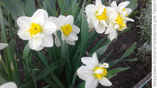 Давайте вместе ждать весну!