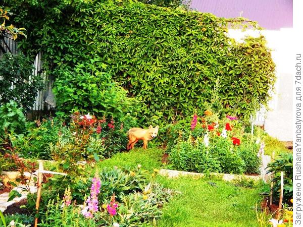 Незваный гость.