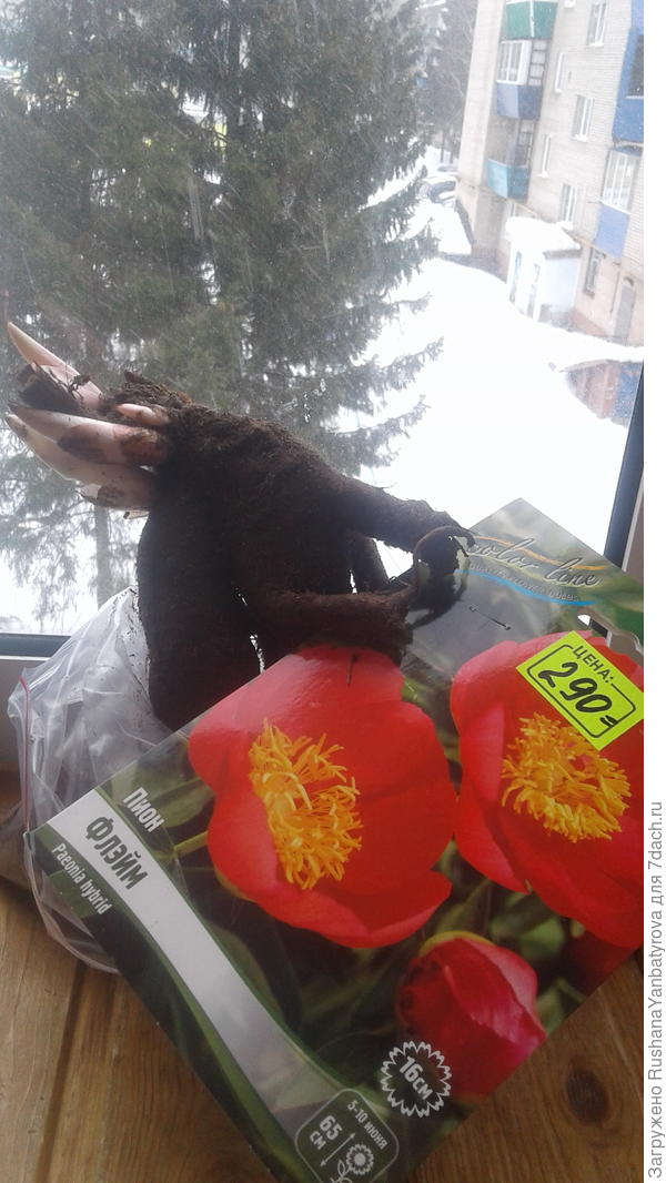 Сегодня купила! Простой,но милый огонек!