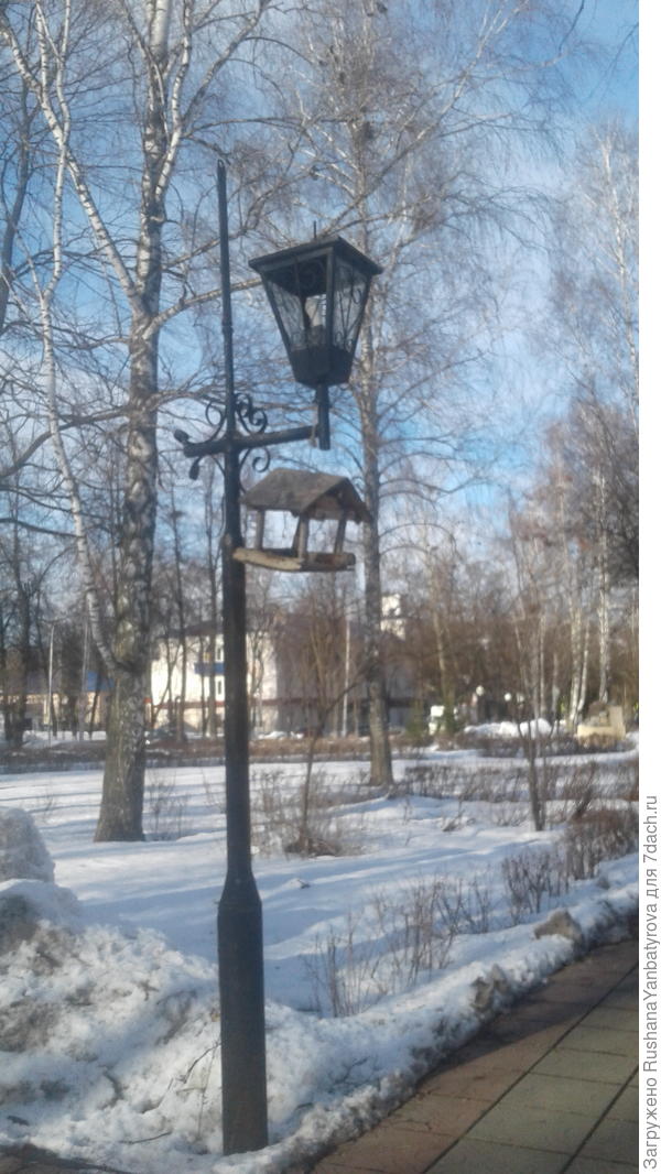 На проспекте.