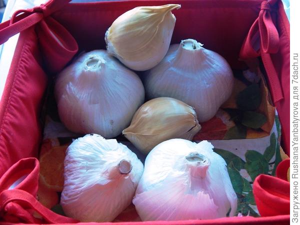 Это то, что оставлено на семена.