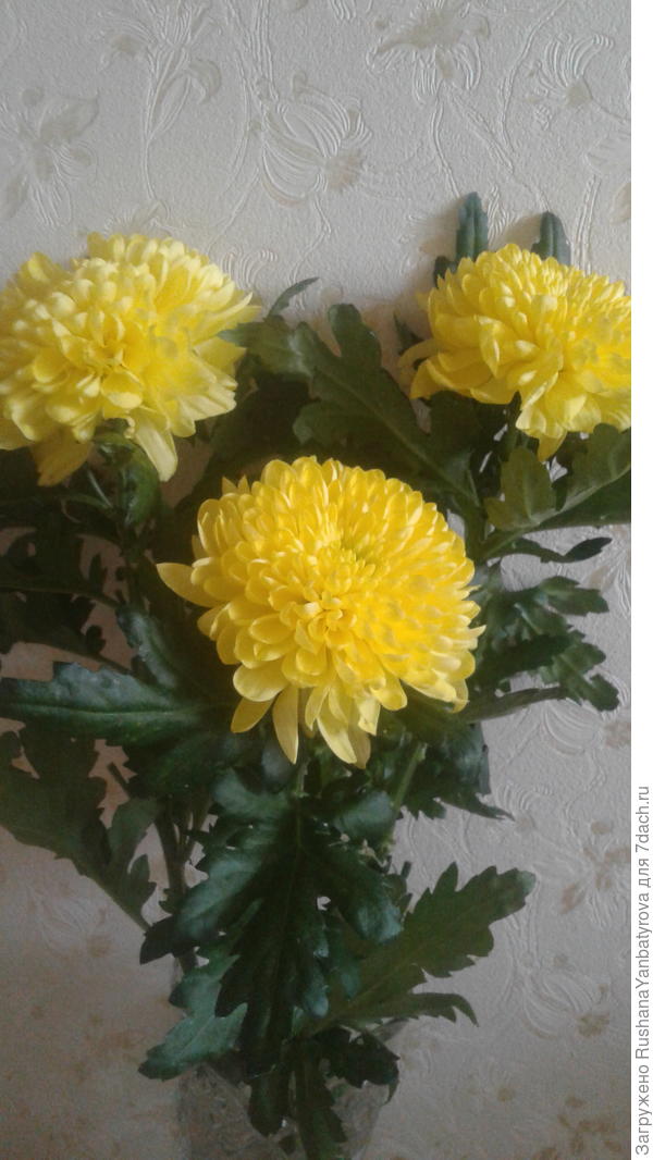 Солнечный букет для солнечного настроения!