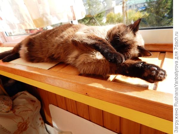 И дома на балконе тоже неплохо!