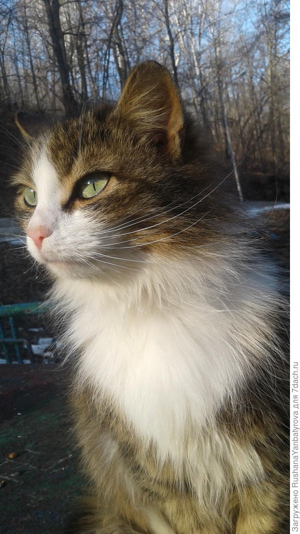 Она же весной 2019.