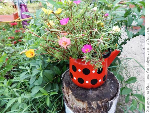 Есть чайник в черный горох, а теперь добавился и в белый.