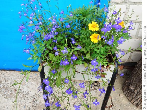 Табурет для цветов вполне годится.