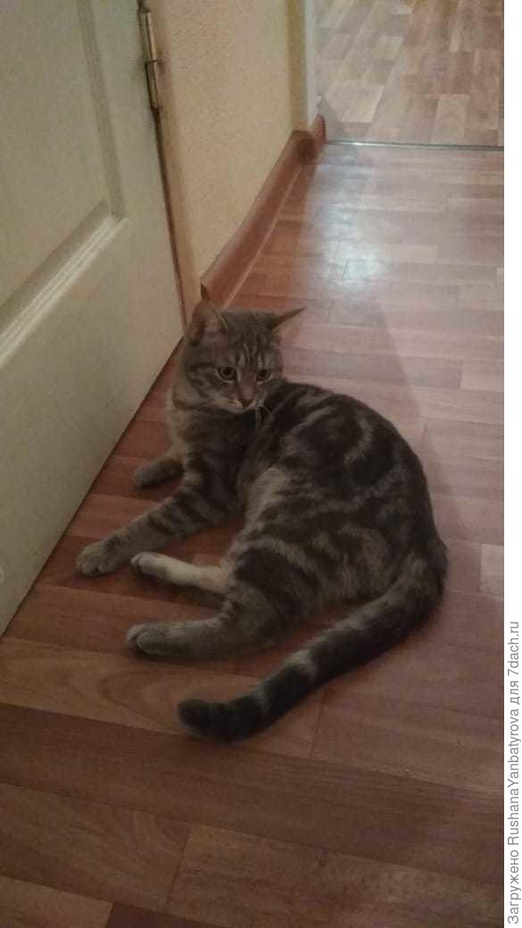 Весь разрисован!