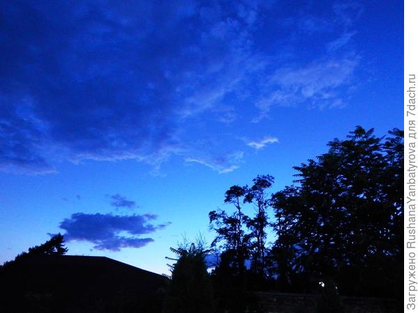 Синий вечер .