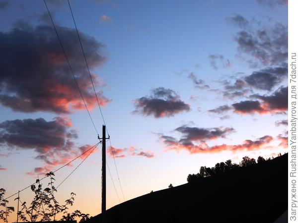 Какую погодку предсказывает небо?