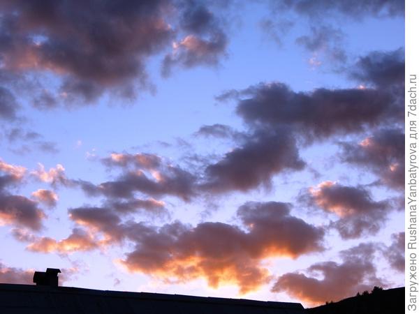 Из дачного окна.